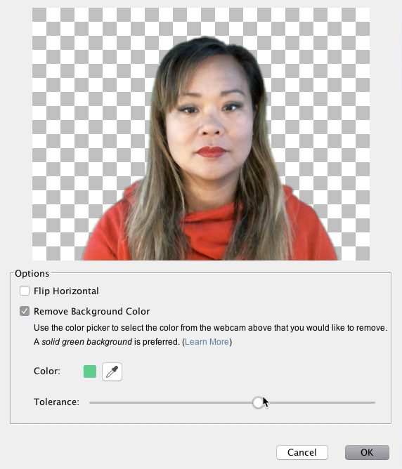 Green Screen and Flip Camera to Enhance Videos Screen Recorder & Video Editor ScreenPal