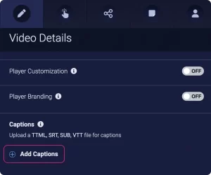 add subtitles using the video hosting platform