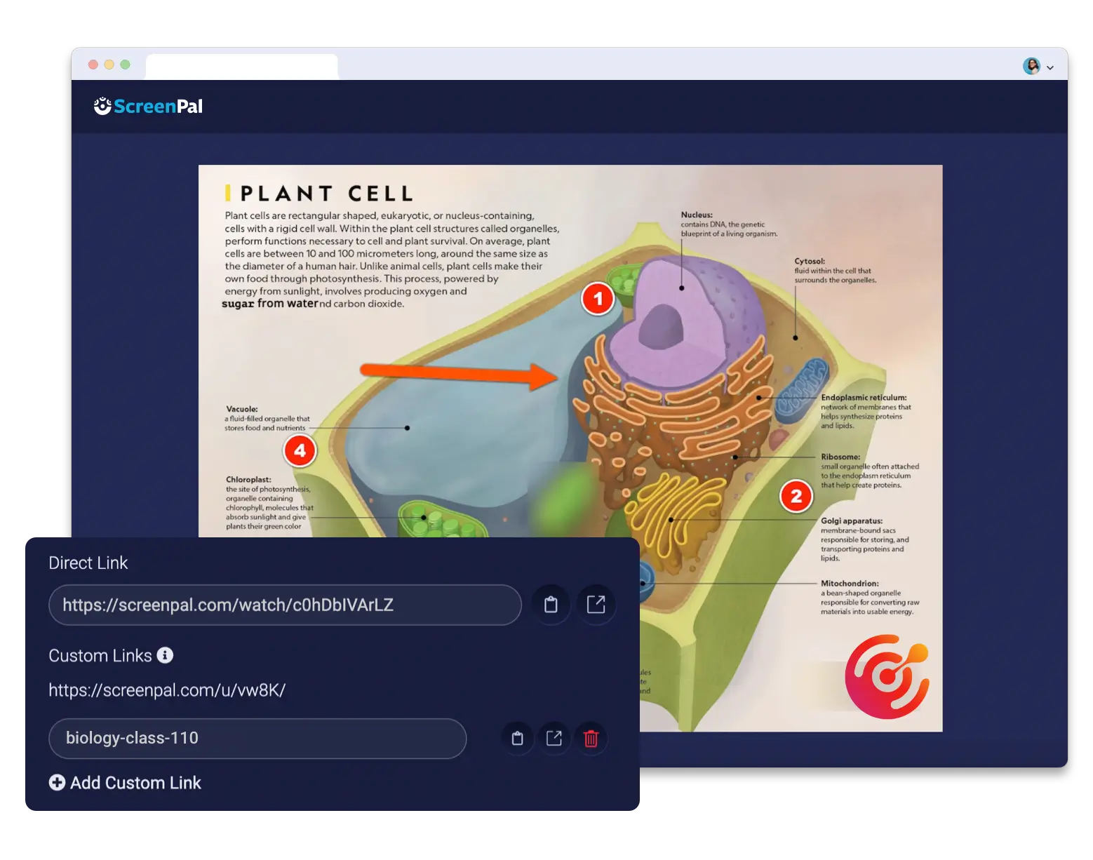 host your infographics