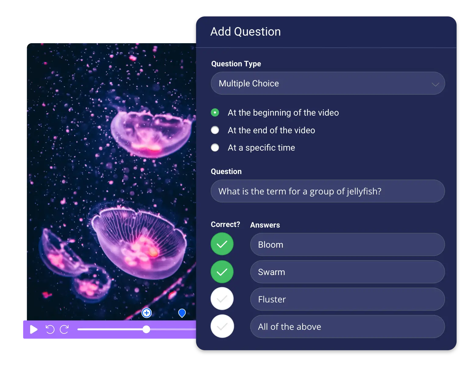 Create interactive video quizzes easily