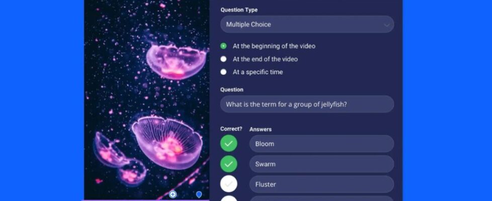 Free video quizzing